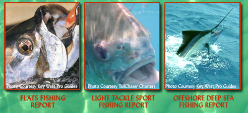 Click here to visit Key West Pro Guides