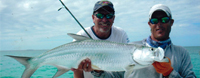 Click to visit catchingthefish.com